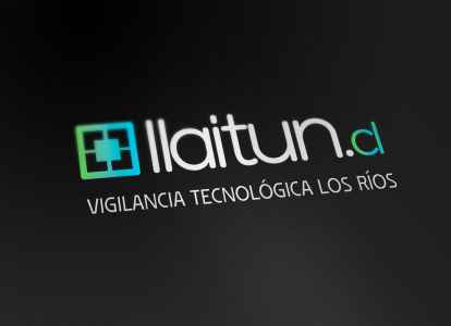 2015-llaitun Efectovisual - ¿Que la generación de Leads?